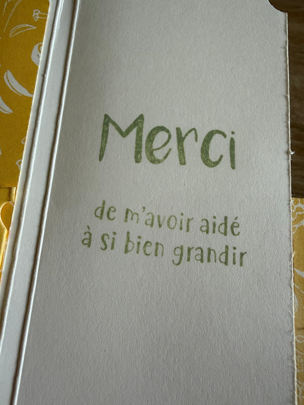 Carte mini album fête des Mères