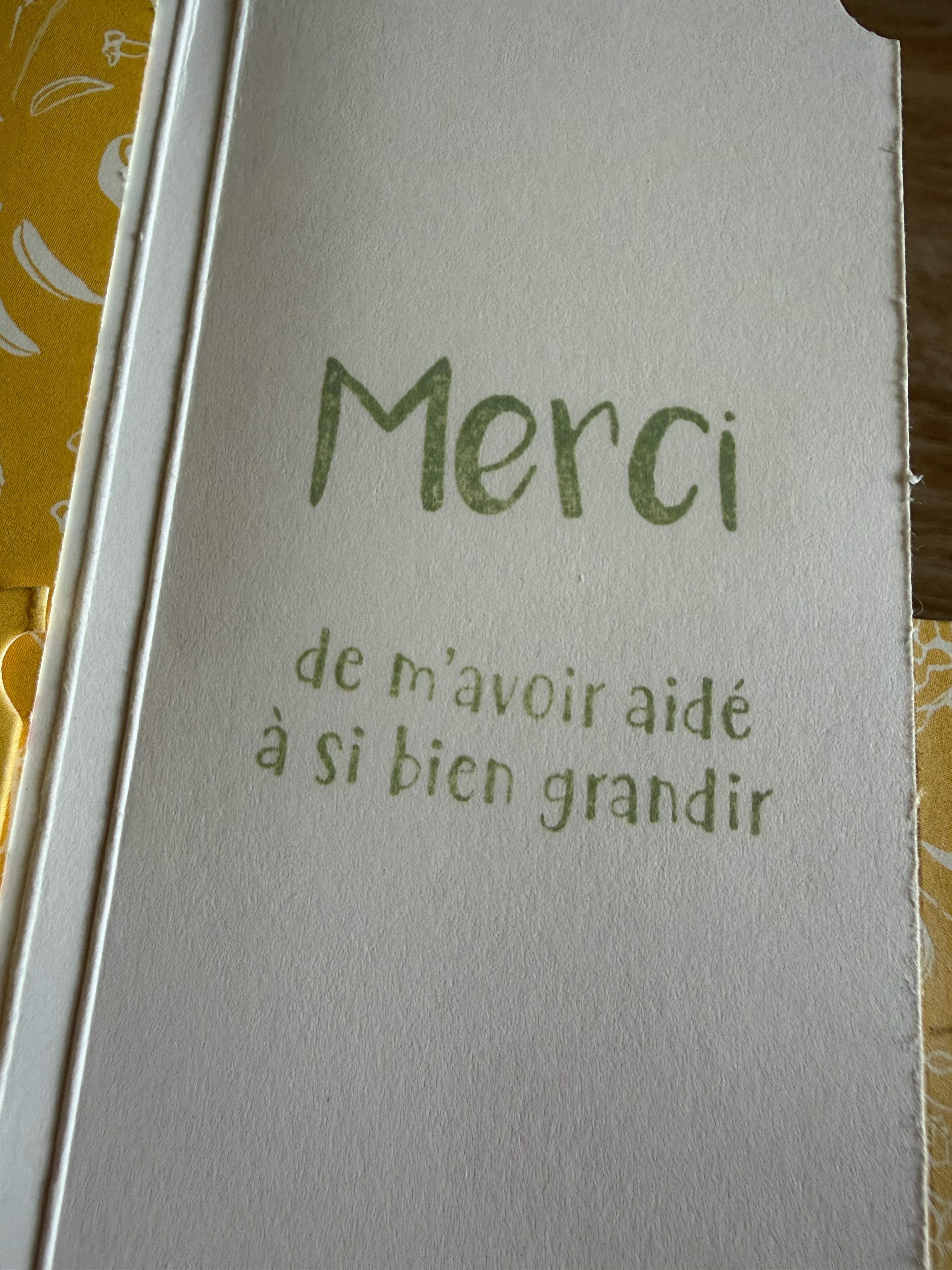 Carte mini album fête des Mères